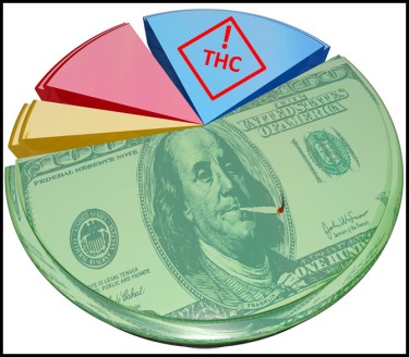 where do cannabis taxes go