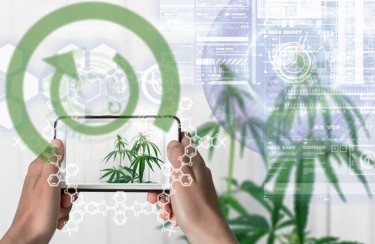 cannabis tech evolution