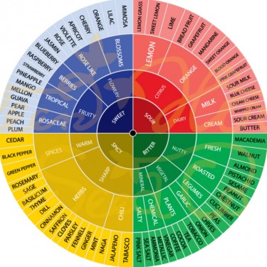 cannabis terpenes