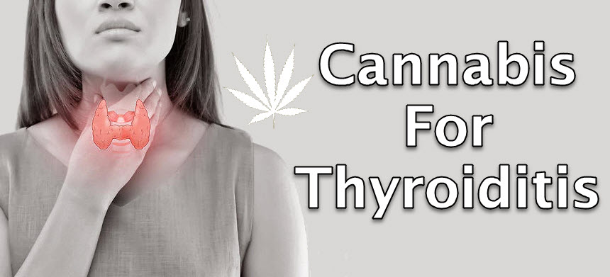 cannabis thyroiditis