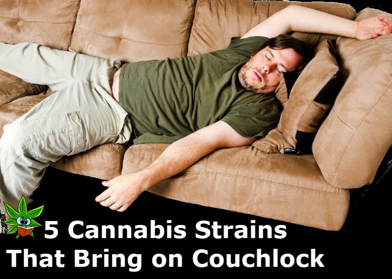 cannabis couchlock