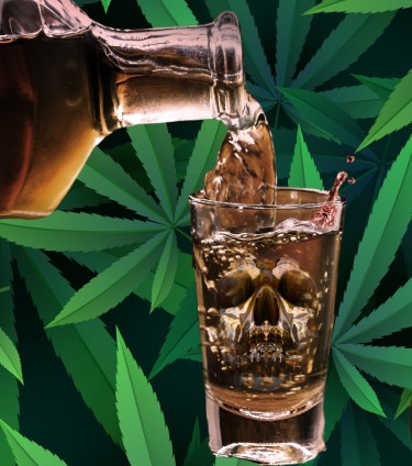 cannabis use over alcohol use