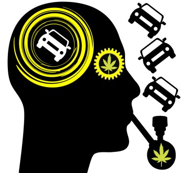cannabis driving tests users