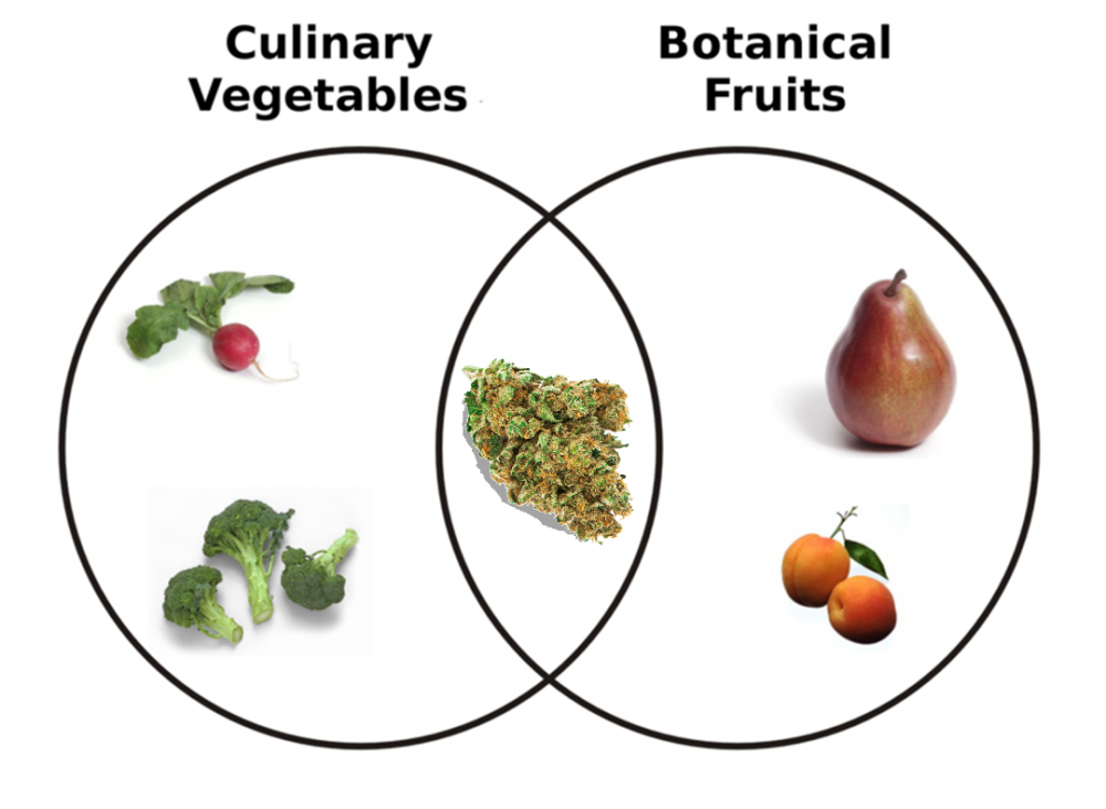 IS WEED A VEGGIE OR FRUIT