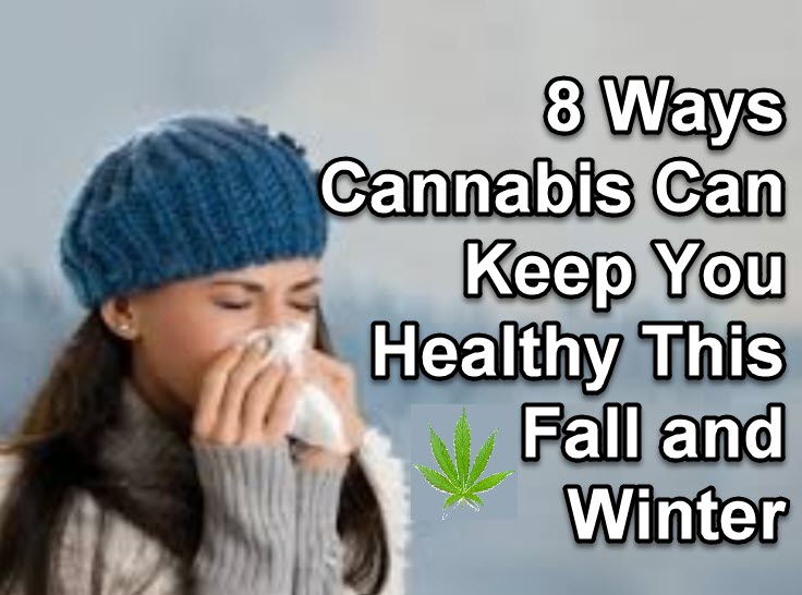 CANNABIS WINTER FALL