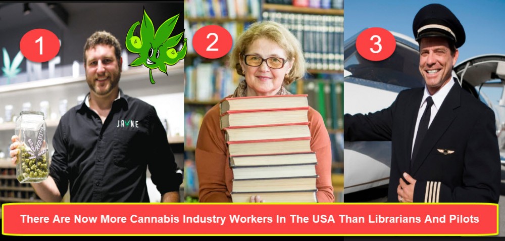 cannabis workers in america