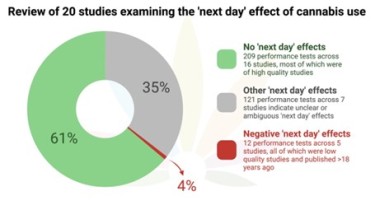 cannabis studies on hangover effects