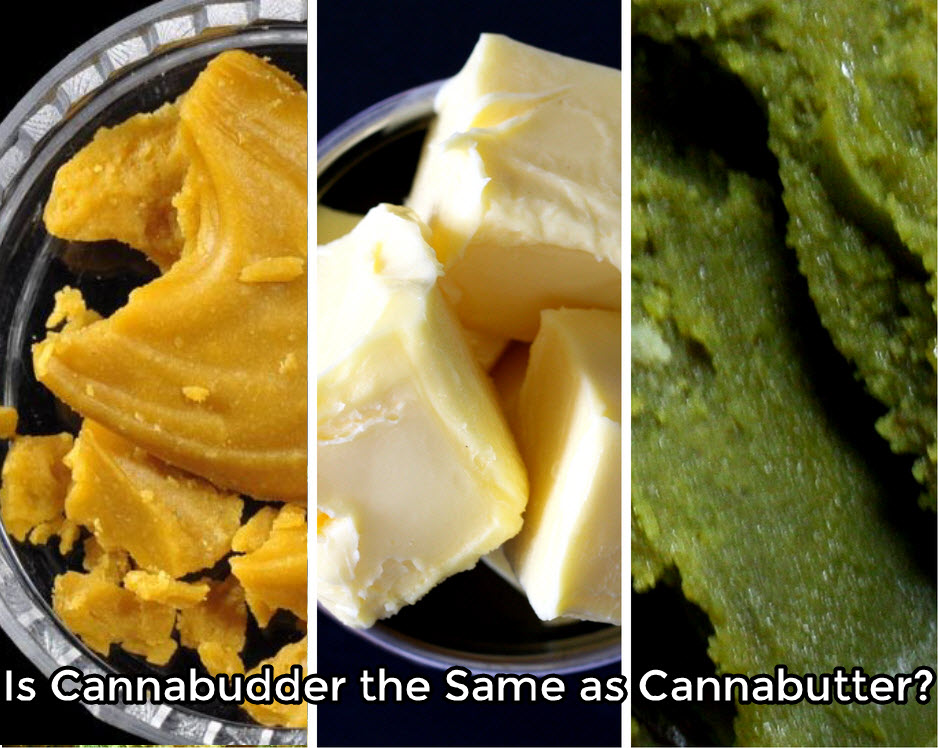 IS CANNABIS BUTTER THE SAME AS BUDDER