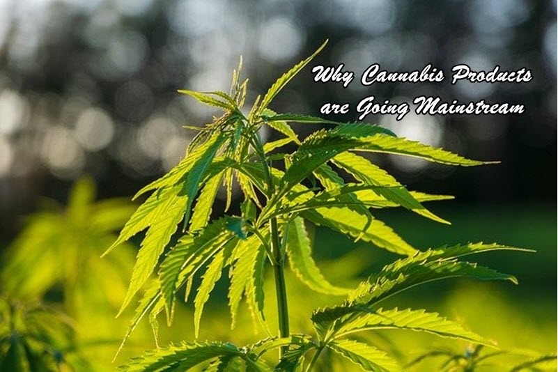 cannabis products go mainstream