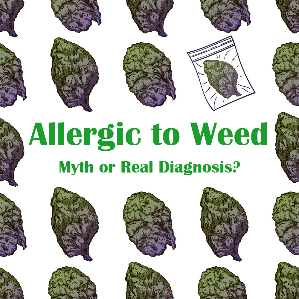 ALLERGIC TO WEED, REAL OR FAKE