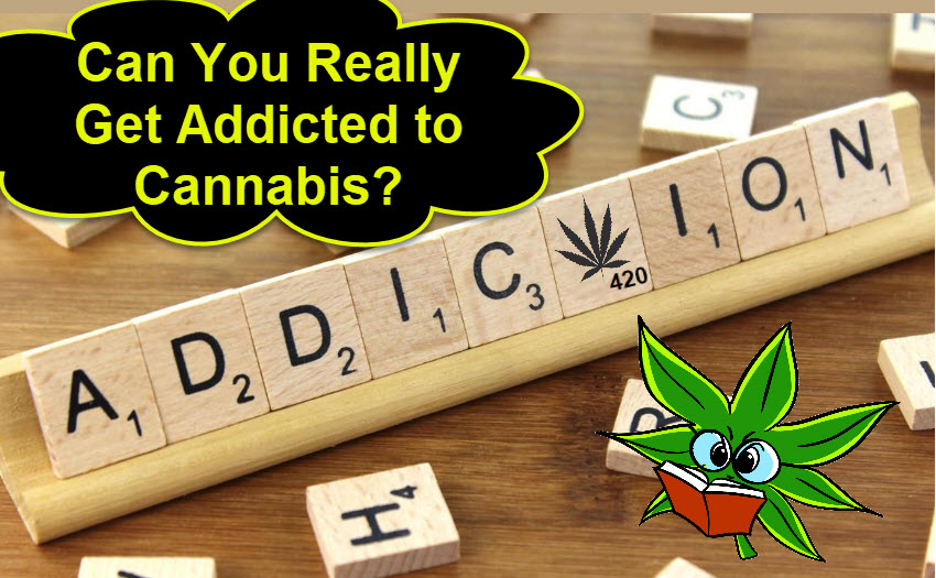 CAN YOU REALLY GET ADDICTED TO WEED