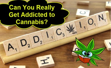 CAN YOU GET ADDICTED TO WEED