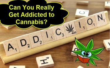 CAN YOU GET ADDICTED TO MARIJUANA