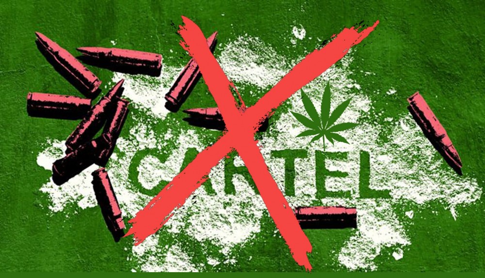 dea on legal marijuana and cartels