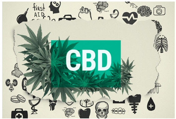 cbd for addiction