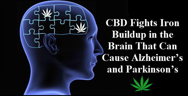 CBD BLOCKS IRON FOR PARKINSON'S DISEASE