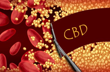 cbd and blood thinners