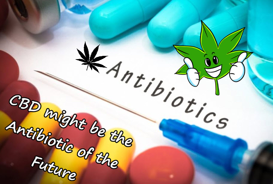 CBD AS AN ANTIBIOTIC