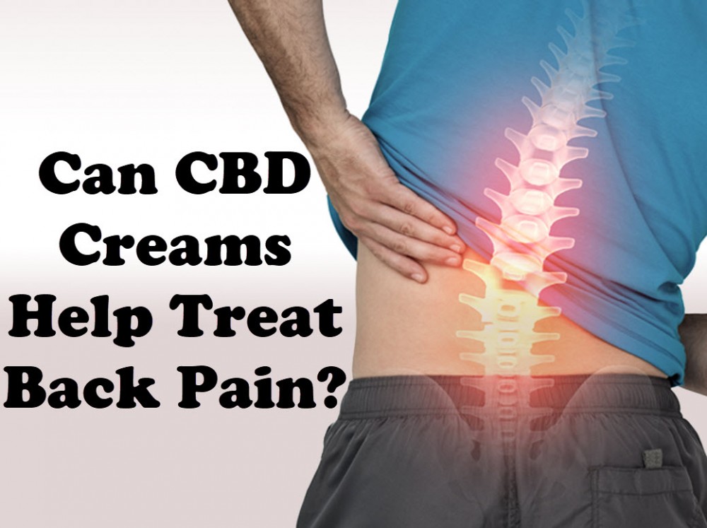 cbd cream for back pain
