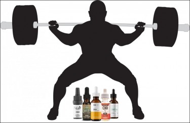 cbd for muscle building body building 