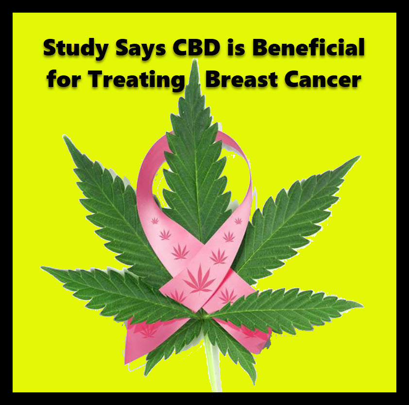 CBD FOR BREAST CANCER