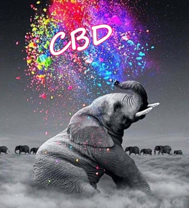 cbd given to elephants