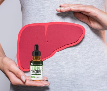 cannabis and cbd helping your liver