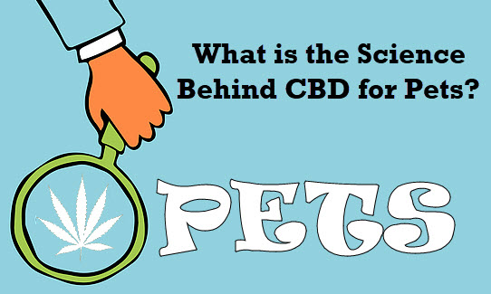 CBD FOR PETS SCIENCE