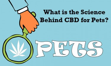 THE SCIENCE OF CBD FOR PETS