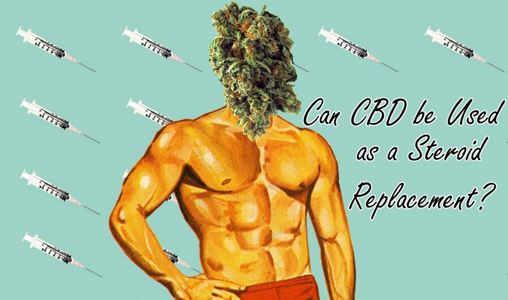 cbd for steroids