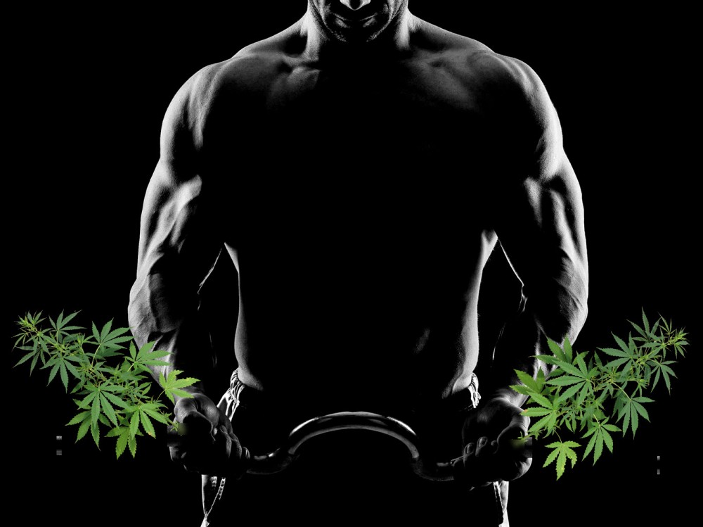 cbd muscle gains