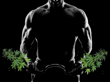 CBD HEMP FOR MUSCLE GAINS