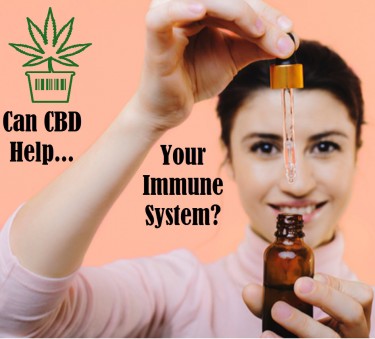 CBD DROPS TO BOOST THE IMMUNE SYSTEM
