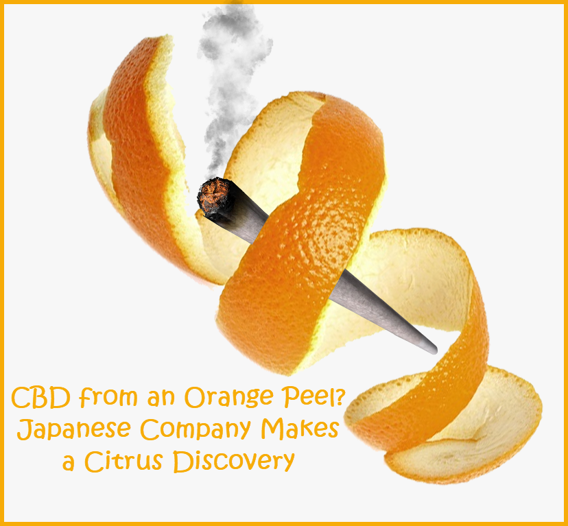 cbd from an orange peel