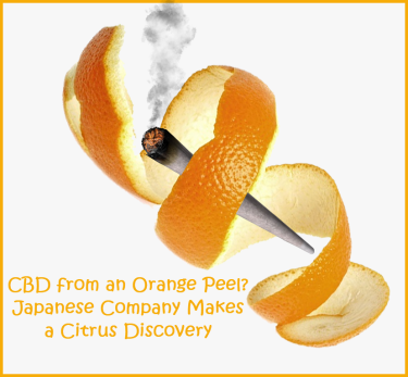 CBD FROM ORANGES