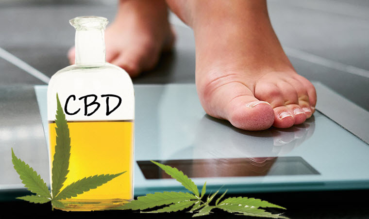 cbd oil for weight gain