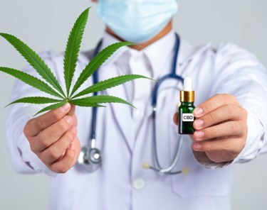 CBD is Safe Even If You Tried to Overdose On It Says New Study - High Doses  of CBD Are Safe Says Scientists