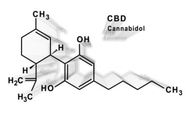 cbd molecular make up