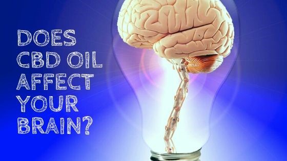 does cbd oil affect the brain