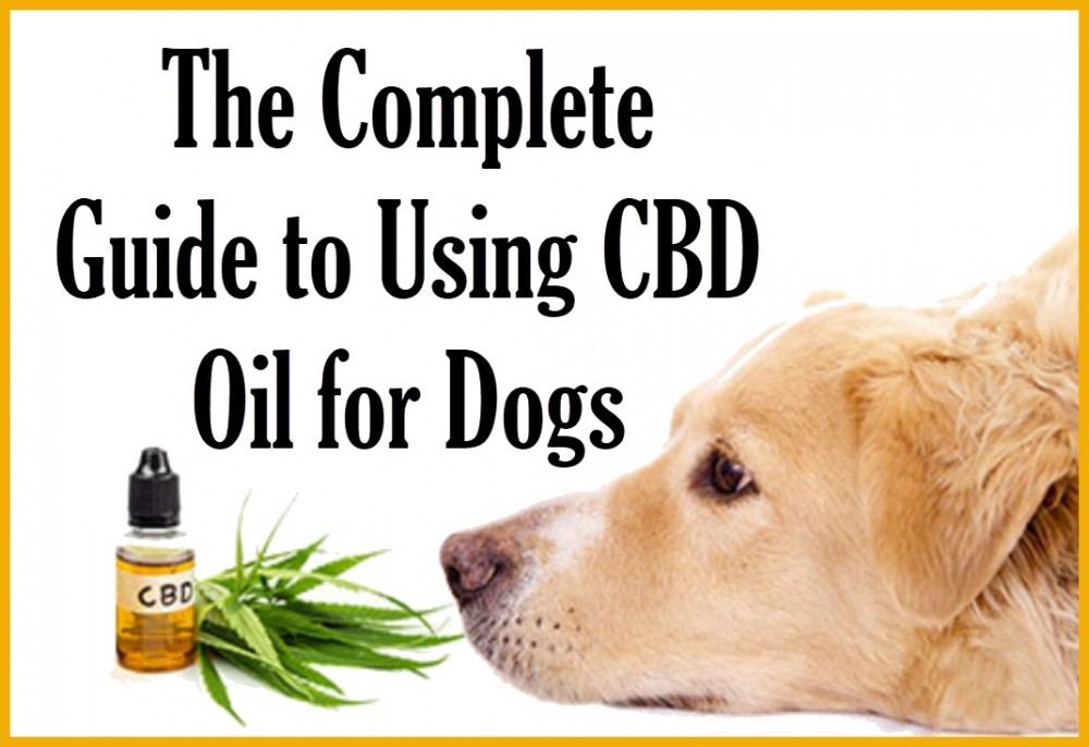 CBD OIL FOR DOGS