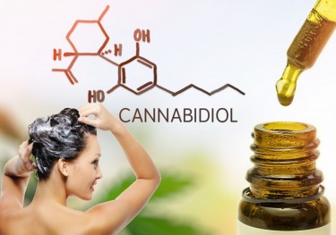 IS CBD SHAMPOO GOOD FOR YOUR HAIR