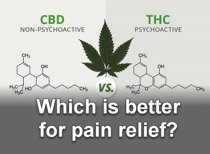 WHICH IS BETTER FOR PAIN RELIEF CBD THC