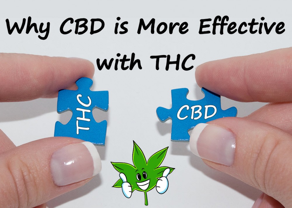 CBD WITH THC IS BETTER THAN ALONE