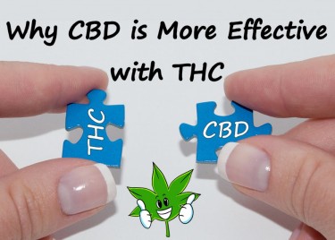 CBD WITH THC IS BETTER