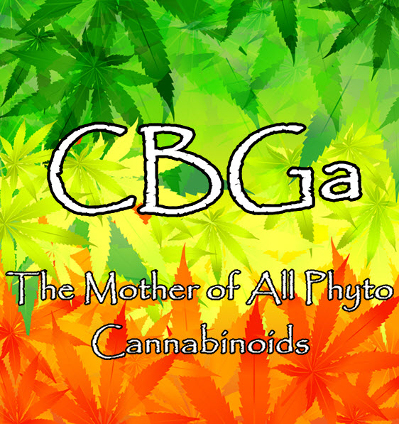 what is cbga