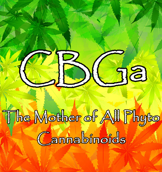 CBGA CANNABINOID