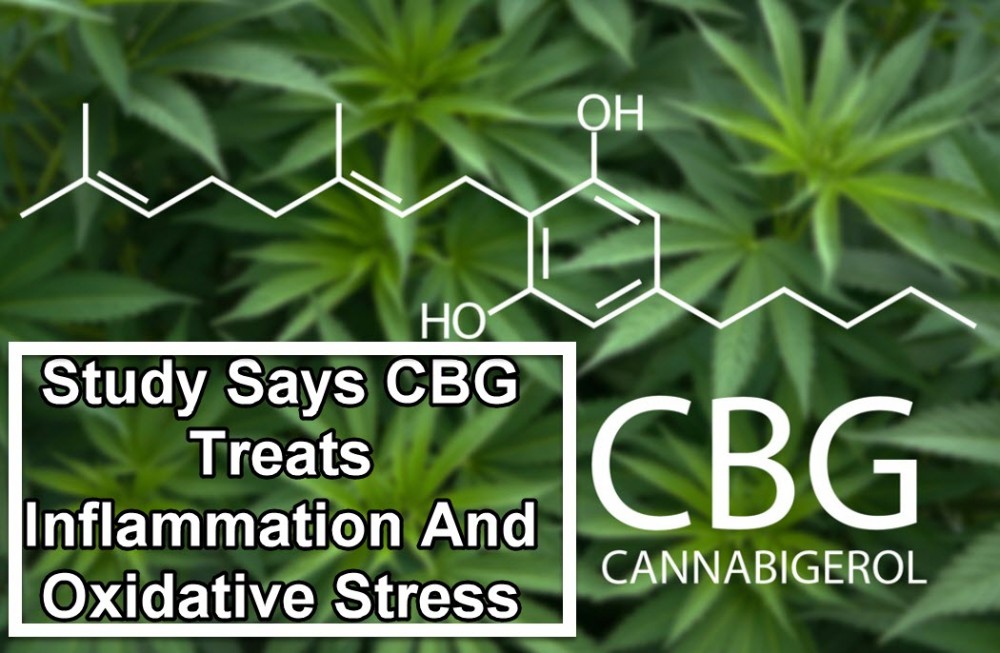 CBG AND STRESS