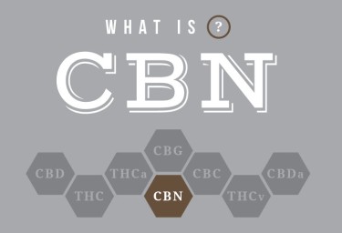 WHAT IS CBN cannabinoids