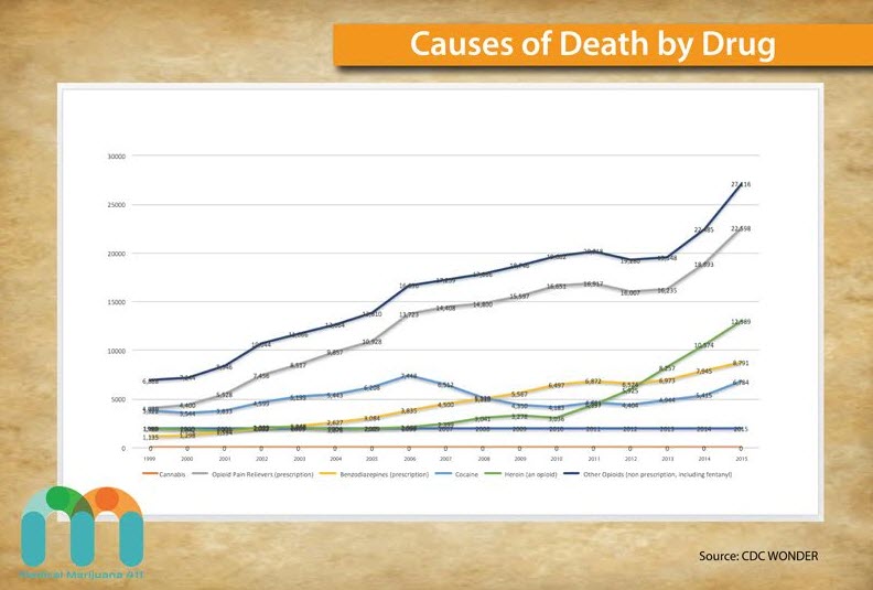 cdc on opioid deaths