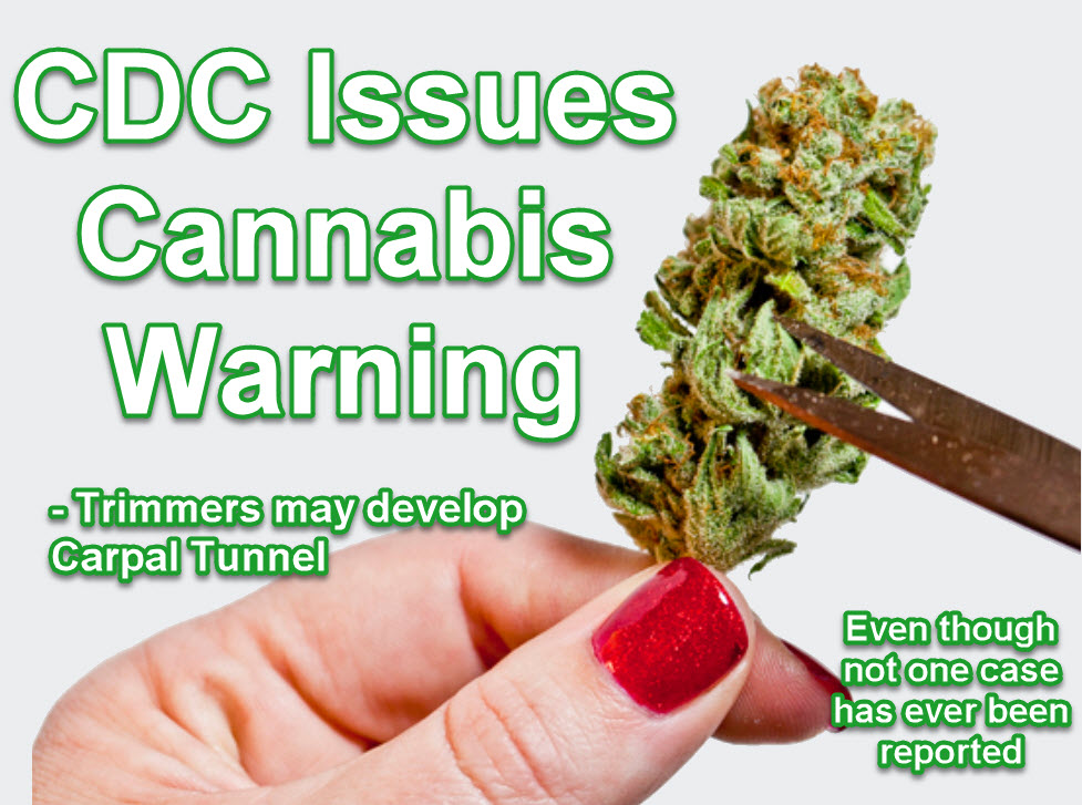 cdc on cannabis warnings